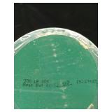 Gambino Foods Sliced Cherry Peppers 8 LB