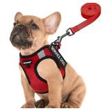 S FAYOGOO Service Dog Vest for Small Breed - Lightweight Dog Harness with 6PCS Removable Patches - Puppy Harness and Leash Set for Walking,Training