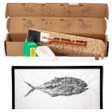 Iko Print Gyotaku Fish Printing Art Kit - Print Your own Catch! - Fishing Gifts for Men - (5 Sheets of Rice Paper, sumi Ink, Bowl, and Brushes) - DIY Japanese Fish Art for Your Home