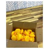 50-Pieces Float & Squeak Mini Rubber Duck Baby Bath Ducky Sound Shower Toys for Kids