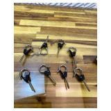 BeneLabel Wall Mount Ceiling Hooks with Safety Buckle - Plant Hanger Hooks - Outdoor Hanging Brackets for Hanging Plants, Lights, Wind Chimes & More - Rust Proof and Wind Proof