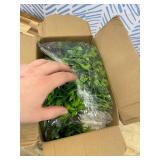 Artificial Bonsai Pine Tree Fake Desk Plants Commercial Reception Charm Adornment Home Decor Office Bookshelf Decor (Warm Colors)