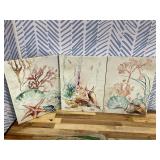 takfot Coastal Canvas Wall Art Paintings Shell Starfish Coral Conch Picture Watercolor Art Wall Decor Framed Prints Artwork for Bathroom Kitchen Bedroom Living Room 12x16 Inch, 3 panels