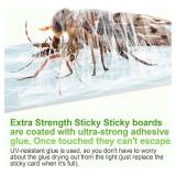 Fly Trap Indoor, Fruit Fly Traps for Indoors, 2 Devices 12 Glue Cards