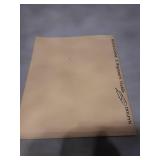 Shamanism: A Beginner