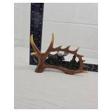 Moose Antler Forest Scene