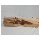 Natural Wood Specimen with Unique Bore Holes for candles maybe