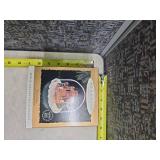 1995 Forest Frolics (Magic) Hallmark Keepsake Christmas Tree Ornament - QLX7299