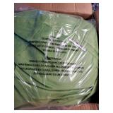 Large Lime Green Bean Bag Chair - Retail: $149
