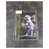 2001 Upper Deck Tiger