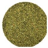 10 Lbs Roasted Salted Pumpkin Seeds, Unshelled Pepitas, All-Natural Protein Power for Gluten-Free, NON GMO, Kosher, Vegan Snacking, 10lbs (no date)