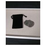 Natural Ammonite Fossil Specimen