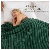 Exclusivo Mezcla Twin Size Flannel Fleece Blanket, Super Soft Striped Jacquard Bed Blanket, Lightweight Fuzzy Cozy for All Seasons, 60x80 Inches, Forest Green