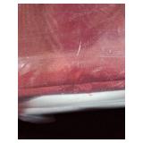 Academy Sports 10x10 Instant Canopy - Retail: $89