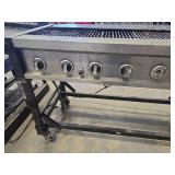 Commercial Gas Grill Grates and Frame Assembly