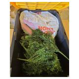 Event Decorating Supply Lot