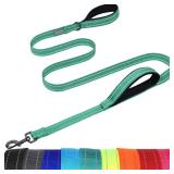 VIVAGLORY Twingrip Dog Leash, Double Handle Dog Leash for Training and Walking with Traffic Handle and 2 Loop, Traffic Control Reflective Heavy Duty for Puppy Pet, 6ft x 1in, Turquoise - Retail: $13