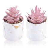Der Rose Set of 2 Succulents Plants Artificial Mini Fake Succulents Plants for Office Desk Accessories for Women Pink Home Vanity Decor - Retail: $7