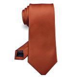 RBOCOTT Rust Tie Formal Silk Necktie for Men (Rust)