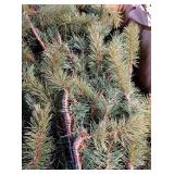 Pre-lit Noble Fir Artificial Christmas Tree - Retail: $299