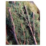 Pre-lit Noble Fir Artificial Christmas Tree - Retail: $299