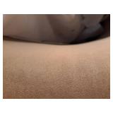 X- Pedestal Bas  Modern Swivel Office Chair in light brown  - Retail: $175