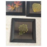 3 Framed Leaves