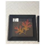 3 Framed Leaves