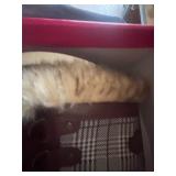 Shoedazzle Winter Boots - Size 6 Womans.