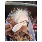 Misc. Christmas Decor