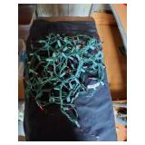 Colorful Christmas Lights