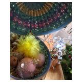 Easter Baskets and Decor