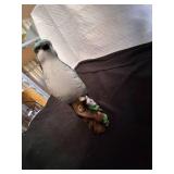 Beautiful Decorative Bird.