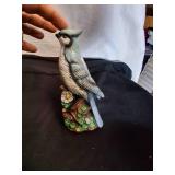 Beautiful Decorative Bird.