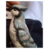 Beautiful Decorative Bird.