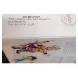 Candy Land Mini Gingerbread House Kit