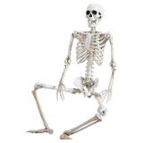 Abakuku 36\ Halloween Skeleton Decorations,Human Bones for Halloween Party with Movable Joints,for Haunted Houses, Front Lawn, Graveyard Props - Retail: $24in