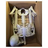 Abakuku 36\ Halloween Skeleton Decorations,Human Bones for Halloween Party with Movable Joints,for Haunted Houses, Front Lawn, Graveyard Props - Retail: $24in