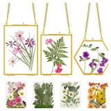 TLAZZ 3 PCS Double Glass Frame for Pressed Flowers, Clear Brass Flower Press Frame with Chain, Hanging Glass Floating Frames for Plant Specimen Artwork Display - Retail: $16,535