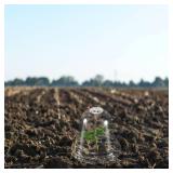 PATIKIL 4.1\ Plant Humidity Dome, 10Pcs Round Plastic Garden Cloche Dome Plant Cover Reusable for Outdoor Frost Freeze Protection Mini Greenhouse, Clear 10.5cm - Retail: $17in