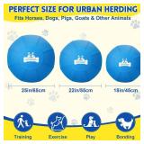 Herding Ball for Dogs 22 Inch - Dual-Layer Heavy Duty Herding Ball for Australian Shepherds, Border Collies and Cattle Dogs | Outdoor Herding Toy for MediumLarge Dogs - Backyard Training and Play-Blue