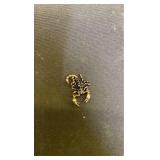 Gold-Tone Scorpion Brooch Pin - Retail: $12