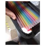 H4D Zippered Accordion File Organizer with Front Mesh Pouch, 13 Pocket Expanding File Folder, Fit for Documents Letter Size A4 Papers, Black