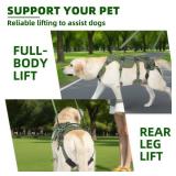 PUPTECK Dog Lift Harness for Medium Large Sized Dog, Rehabilitation Sling for Hind Leg Support, Multifunctional Mobility Assistance Harness for Old, Disabled, Joint Injuries, Paralysis Dogs, Green M