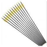 Practice Fiberglass Arrows Archery 28 Inch Target Shooting Safetyglass Recurve Bows Suitable for Youth Children Woman Beginner 6 Pack