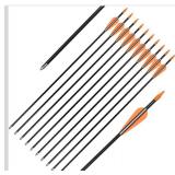 Fiberglass Practice Arrows Archery  26 Inch Target Shooting Safetyglass Recurve Bows Suitable for Youth Children Woman Beginner 6pcs.