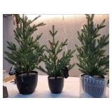 3pc Pre-lit Potted Balsam Fir Mini Artificial Christmas Tree Set Warm White Lights - Wondershop: LED, Timer, Indoor/Sheltered Outdoor - Retail: $115