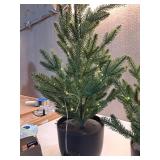 3pc Pre-lit Potted Balsam Fir Mini Artificial Christmas Tree Set Warm White Lights - Wondershop: LED, Timer, Indoor/Sheltered Outdoor - Retail: $115