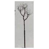 Decorative Tree Floor Lamp - Retail: $89