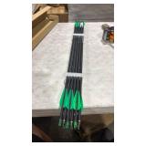 31inch Carbon Arrow Archery Targeting Practice Hunting Arrows for Compound & Recurve Bow with Removable Tips(Pack of 12) - Retail: $0